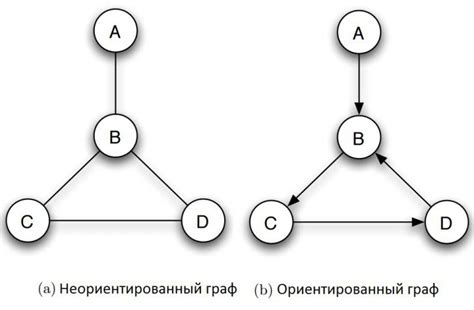 Значение корня граф в информатике