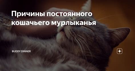 Значение кошачьего мурлыканья