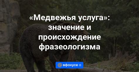 Значение медвежья берлога фразеологизма