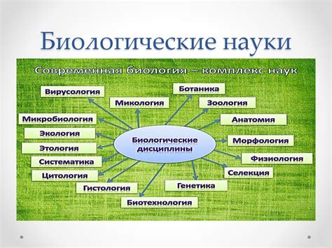 Значение метаболического свойства в биологии