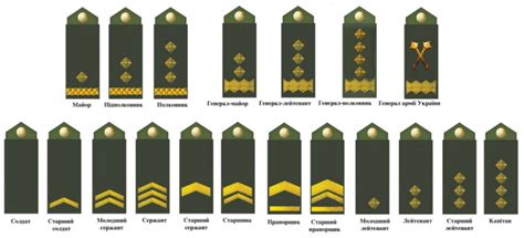 Значение муштровки для солдата и армии