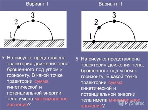 Значение непорочного тела