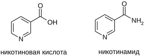 Значение никотиновой кислоты в организме человека