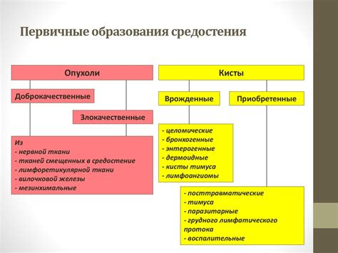 Значение образования переднего средостения