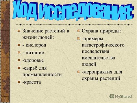 Значение осмысла в жизни