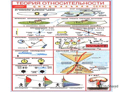 Значение относительности приспособления