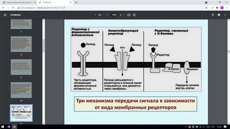 Значение отрицательной реакции Кумбсова: причины и влияние