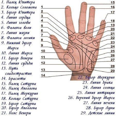 Значение пальцевого перекрестия: гадание или привычка?