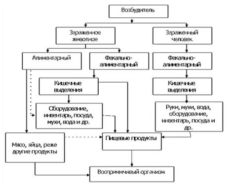 Значение парентерального пути в передаче инфекций