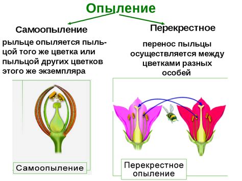 Значение перекрестного опыления для экосистемы