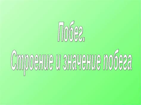 Значение побега в разных ситуациях