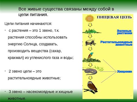 Значение позвоночных животных для экосистемы