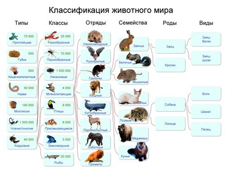 Значение половозрастной группы для животных