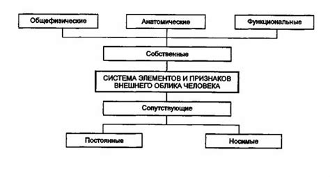 Значение признаков внешнего бального облика НКТ