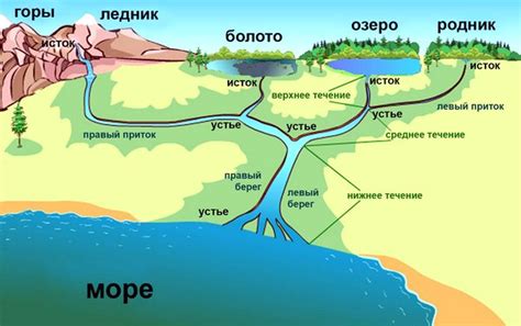 Значение притока для реки: питание и изменение