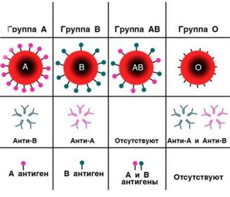 Значение при переливании крови и беременности