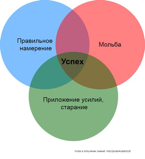 Значение профиля на сайтах и соцсетях: ключевые факторы успеха