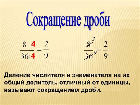 Значение равенства дробей: основные понятия