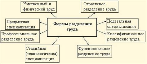 Значение разделения труда и специализации в обществе