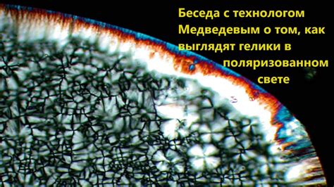 Значение разделов статьи о полностью поляризованном свете