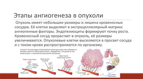 Значение резорбции опухоли