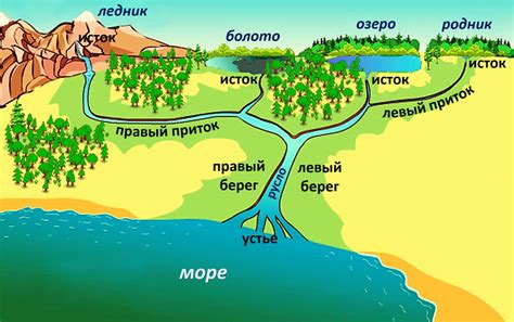 Значение русла реки в экосистеме