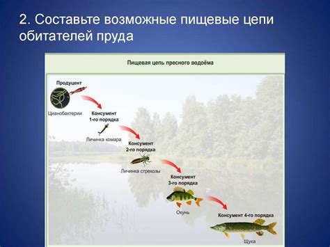 Значение семги в экосистеме и промышленности