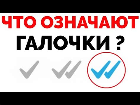 Значение серых галочек в WhatsApp: разбираемся в важных моментах