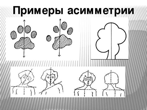 Значение симметрии и асимметрии глаз