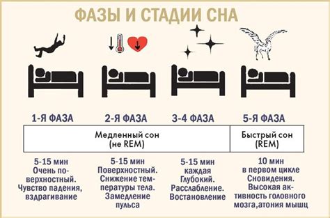 Значение сна о песе во время ночного сновидения для дамского пола