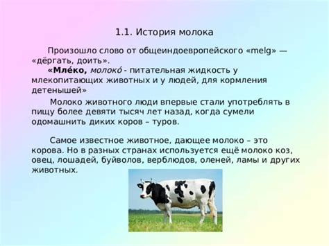 Значение снов, где женщине приходится доить животное и получать молоко