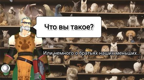 Значение снов о бродячих питомцах в психологическом плане