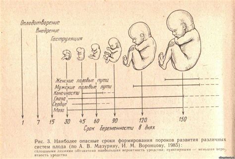 Значение снов о неожиданном приходе мужского плода без предварительной беременности