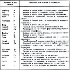 Значение универсальных элементов в кино