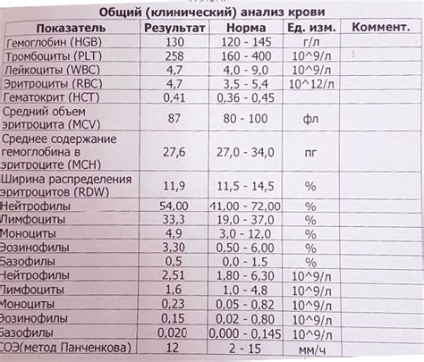 Значение уровня ретикулоцитов в крови и его отклонения от нормы