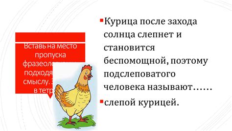 Значение фразеологизма "будто квочки с цыплятами" в современном языке