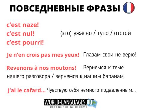 Значение фразы "доде па" на французском языке: перевод и объяснение