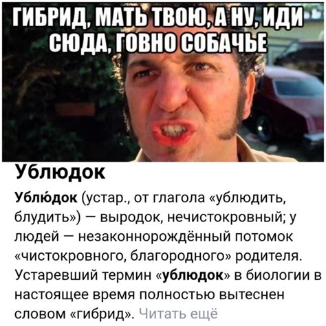 Значение фразы "мать твою"