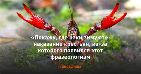 Значение фразы "покажу, где раки зимуют"