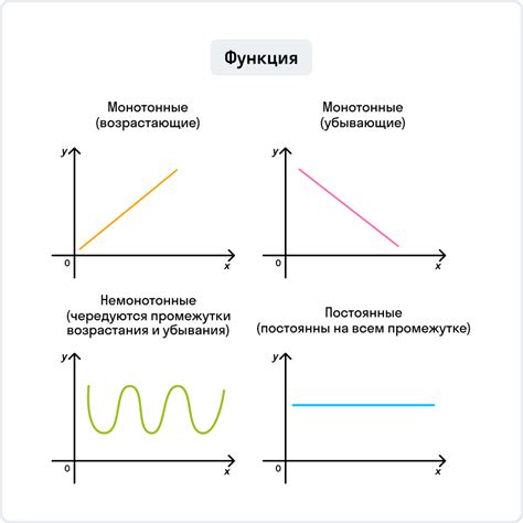 Значение функции: типы и примеры