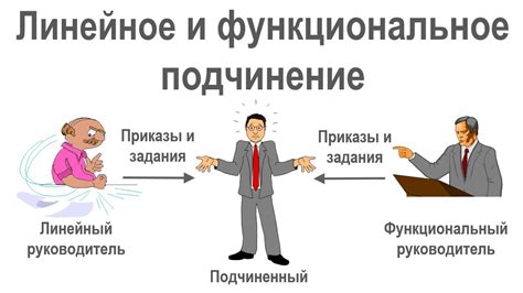 Значение функционального подчинения