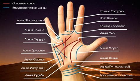 Значение хиромантии левой руки