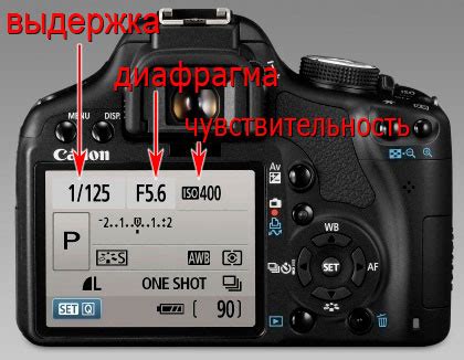 Значение цифр выдержки фотоаппарата