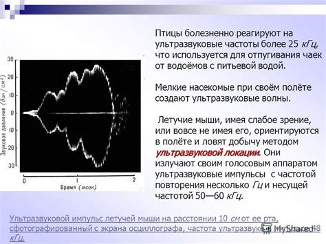 Значение частоты ультразвука 24 кГц