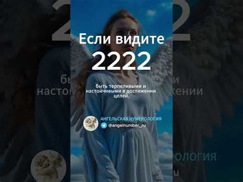 Значение числа 2222