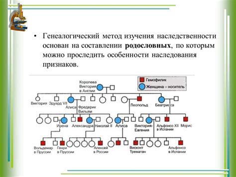 Значимость генеалогического метода для различных областей науки