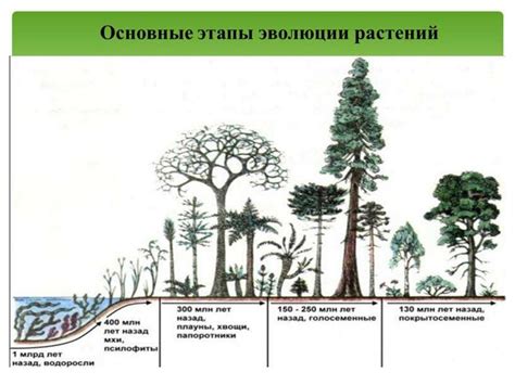 Значимость зеленого растительного мира в мире сновидений