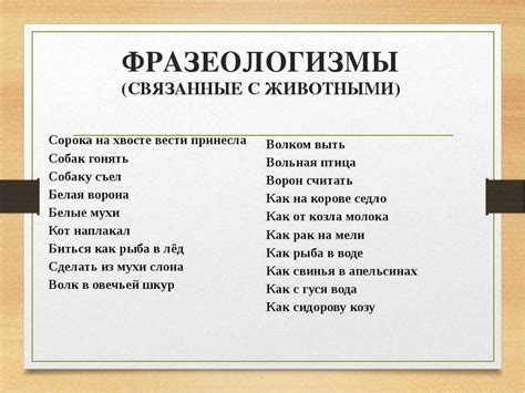 Значимость и значение выражения "поезд ушел": изучение фразеологического единства