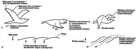 Значимость моментов при интерпретации отсутствия крыльев во время полета в сновидении