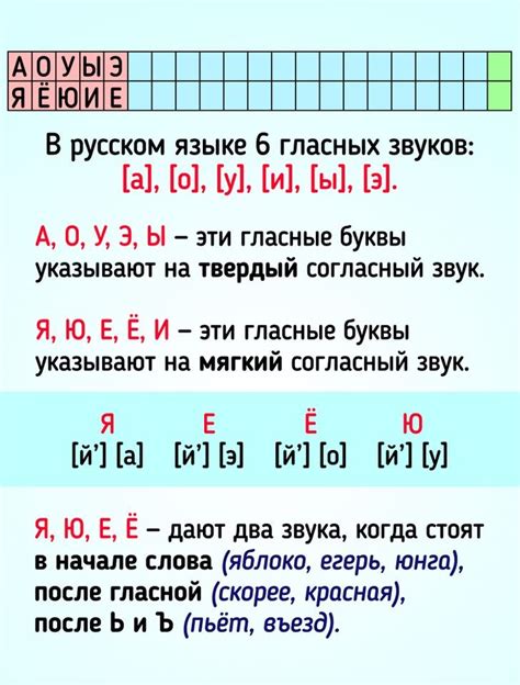 Значимость полного фонетического разбора